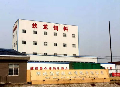 深耕本土，創新制勝 一家湖北小龍蝦飼料企業的萬噸級突圍之路